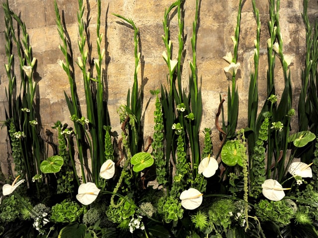 The 2014 Festival of Flowers. Picture by Kate Shemilt