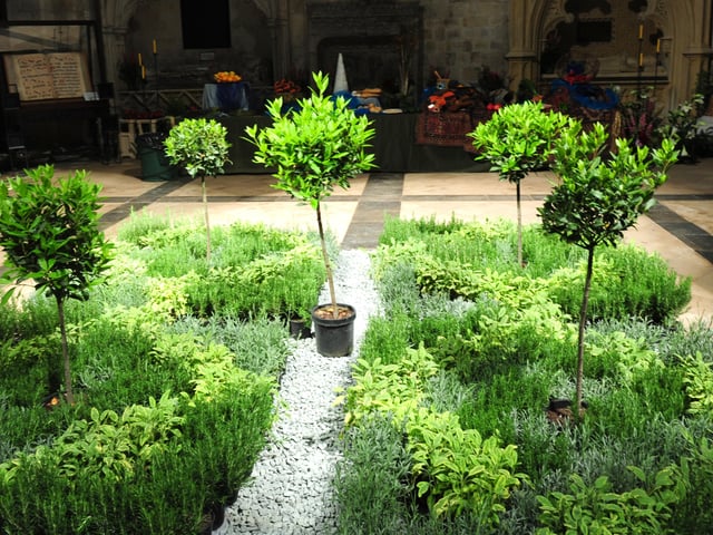 The 2014 Festival of Flowers. Picture by Kate Shemilt