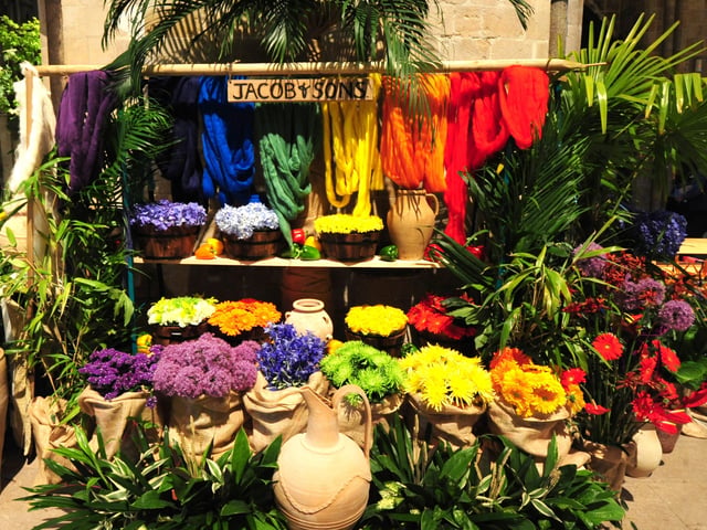 The 2014 Festival of Flowers. Picture by Kate Shemilt