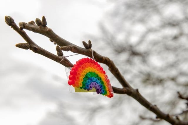 Abington Park Tree Children's Rainbow and bows telling people to stay safe