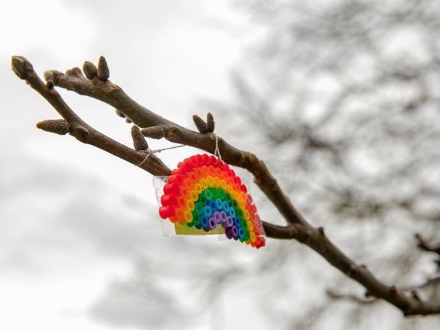 Abington Park Tree Children's Rainbow and bows telling people to stay safe