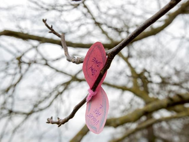 Abington Park Tree Children's Rainbow and bows telling people to stay safe
