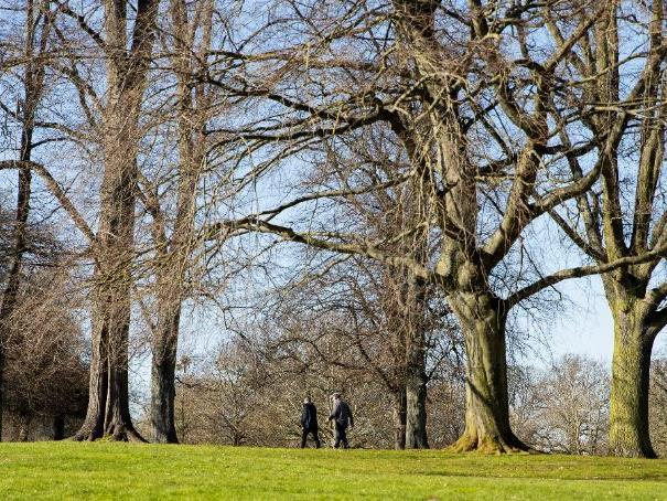 A walk in the park in Northampton