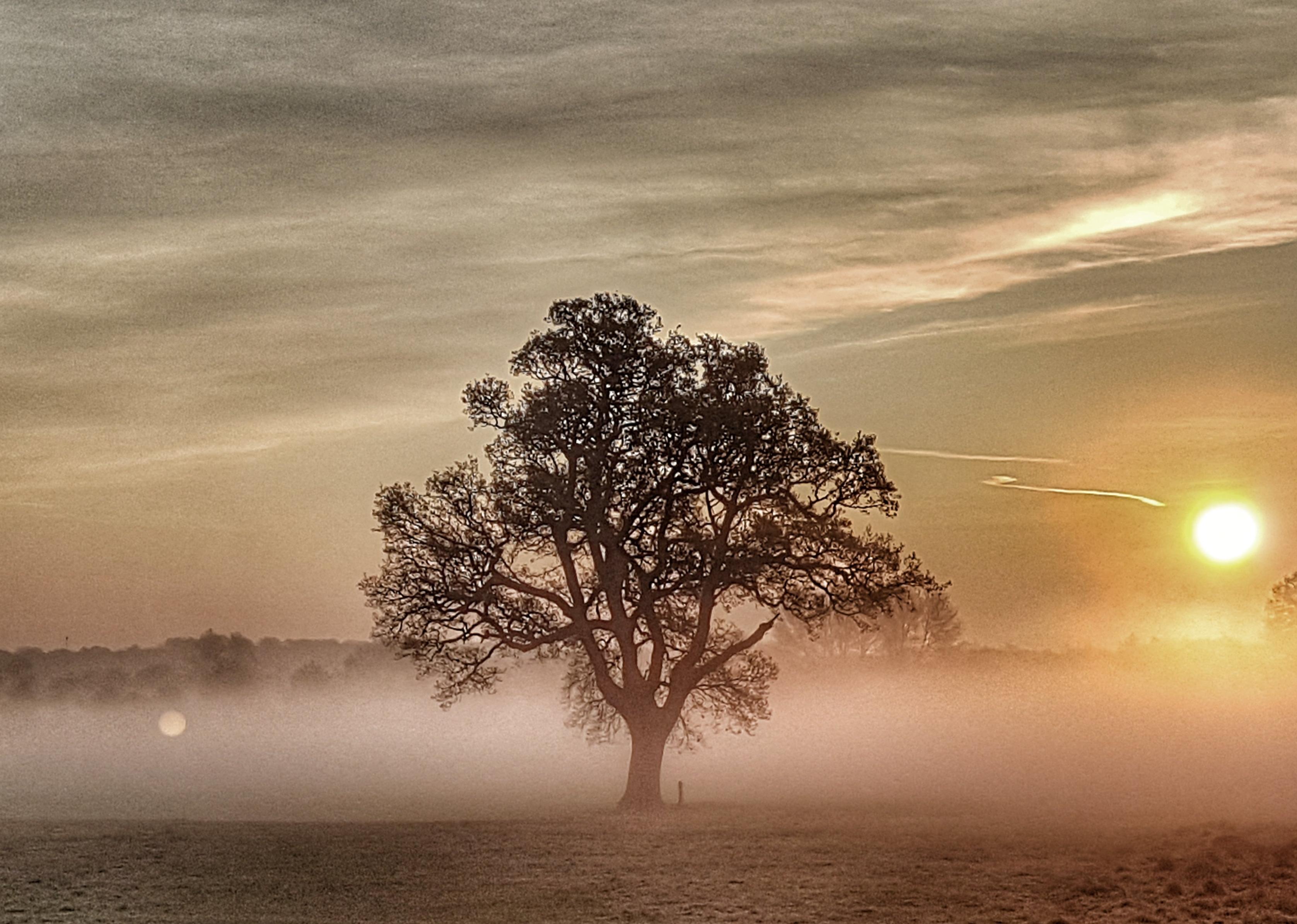 Andrew Hart on a morning walk at Ferry Meadows