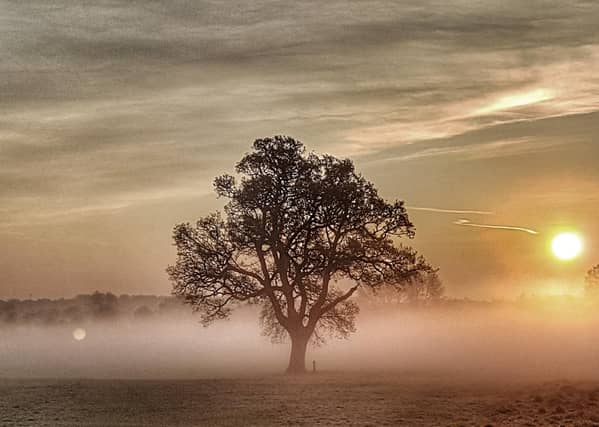 Andrew Hart on a morning walk at Ferry Meadows