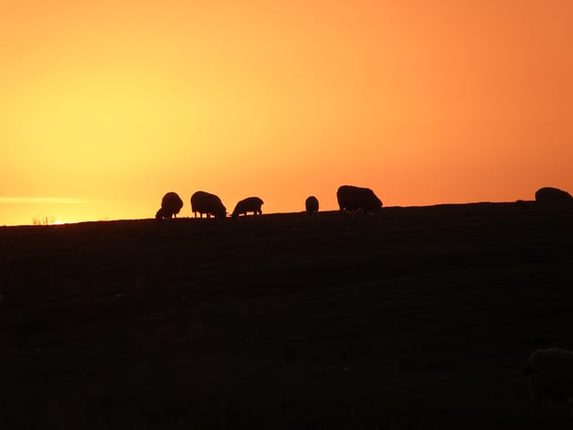Sunset on Pevensey Marshes, by Martin Kenward, taken atter a 'very pleasant' walk. SUS-200306-131729001