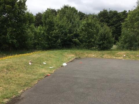 Rubbish was left at Lingswood playing fields.