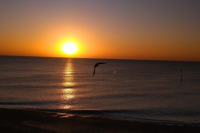 Ruth Linington took this picture of an avian 'dive bomber' on Eastbourne beach on sunrise. SUS-200906-142157001