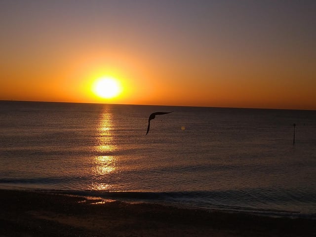 Ruth Linington took this picture of an avian 'dive bomber' on Eastbourne beach on sunrise. SUS-200906-142157001
