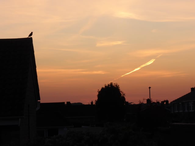 Interesting sunset skies north of Willingdon. This picture was taken by Sylvia James on a Panasonic Lumix. SUS-200527-151643001