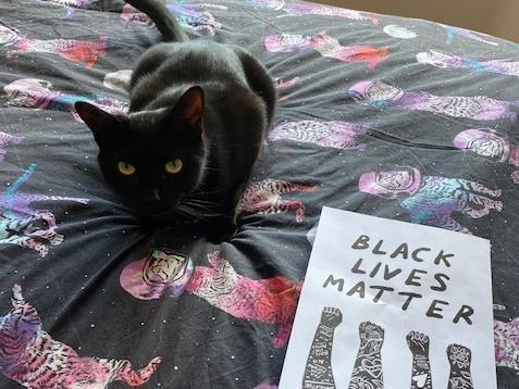 This feline joins the movement