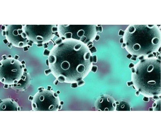 Coronavirus