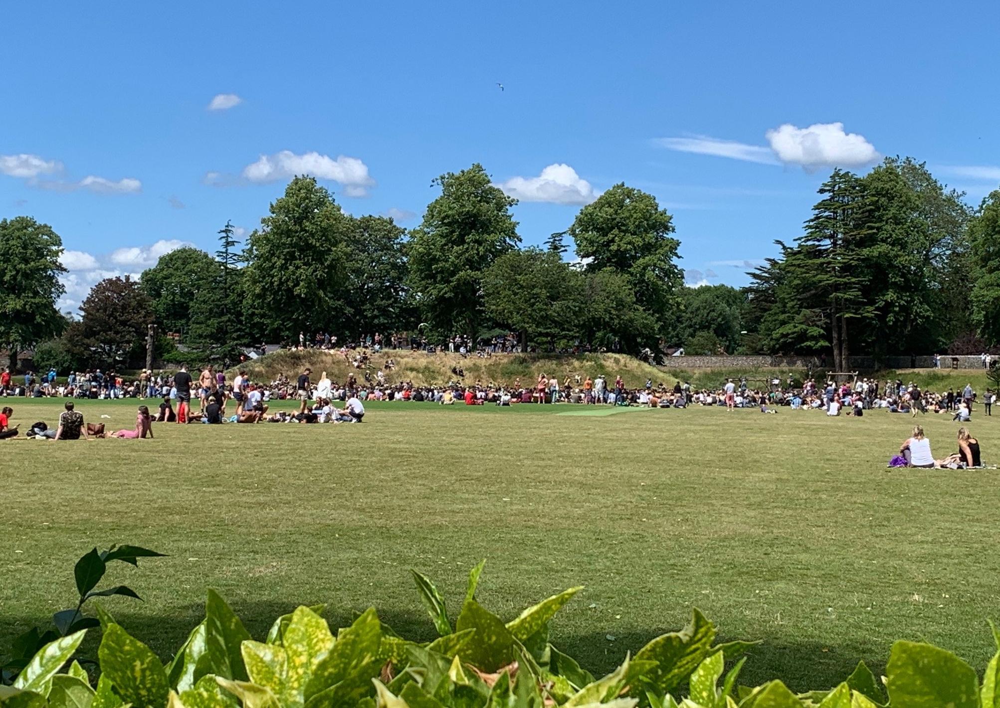People in Priory Park at the protest