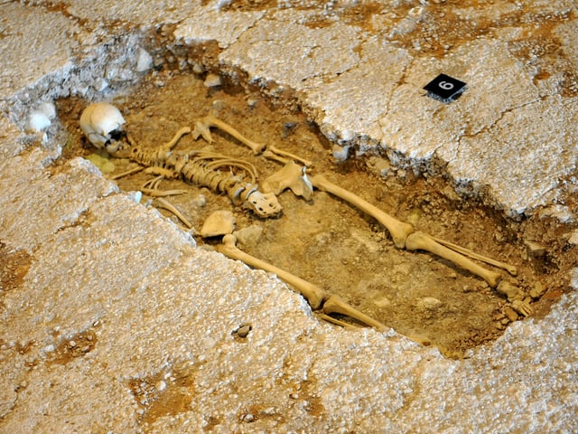 Fishbourne Roman Palace. Pic Steve Robards SR2006111 SUS-201106-204223001