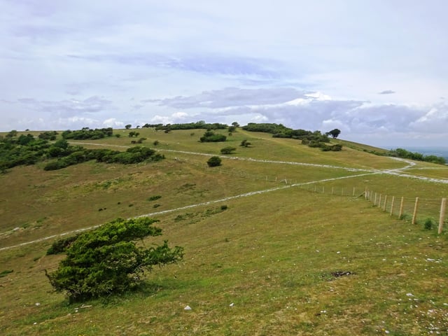 Six pathways intersecting at Chalk Farm looking North across the South Downs from Butts Brow. This picture was taken by Ken Stevenson using a Sony Cybershot DSC-WX350. SUS-200617-112717001