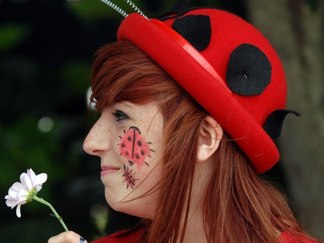 Bognor Regis Carnival in 2010. Picture: Louise Adams C100957