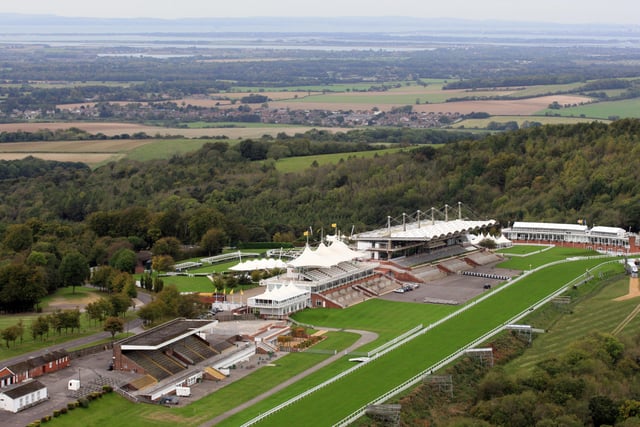 Goodwood racecourse, looking south west. Photo by Derek Martin D11415531a