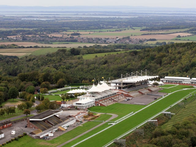 Goodwood racecourse, looking south west. Photo by Derek Martin D11415531a