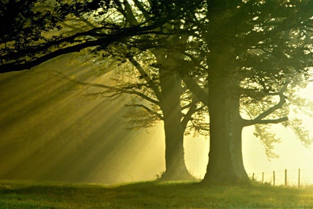 A rising sun piercing the early morning mist. Picture: davidjohnston.org.uk