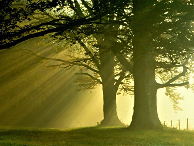 A rising sun piercing the early morning mist. Picture: davidjohnston.org.uk