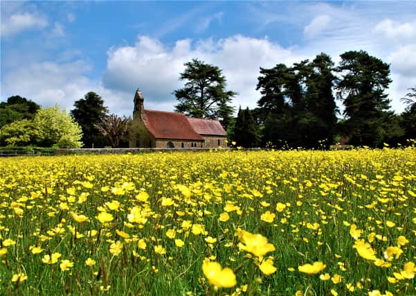A buttercup field in Barlavington, near Petworth. Picture: davidjohnston.org.uk