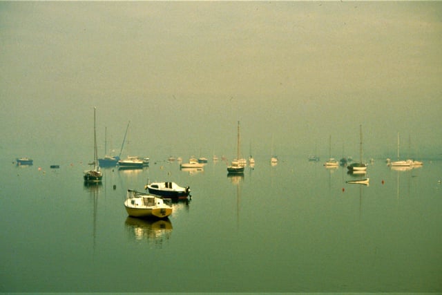 Misty morning in Dell Quay, Chichester. Picture: davidjohnston.org.uk