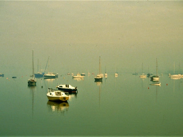 Misty morning in Dell Quay, Chichester. Picture: davidjohnston.org.uk