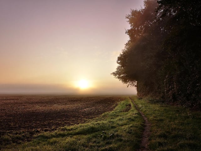 This shot was captured in a field in Roffey by Julie Boylett
