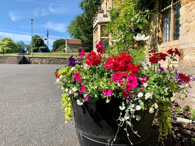 This is one of a series of floral displays across the town