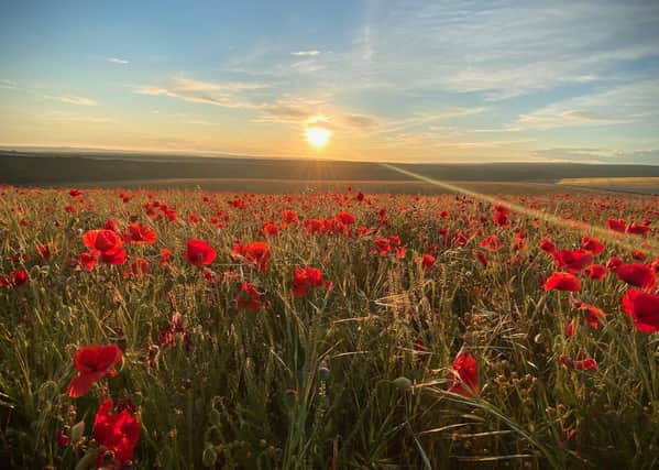 Rachel Kiley took this striking photograph of the sun over a poppy field on the South Downs near Selmeston, using an iPhone. SUS-200624-094100001