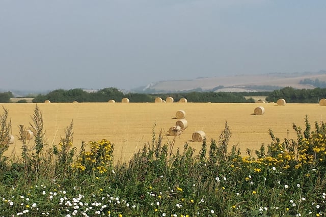 Hay bales in the fields at Southease, by John Garnell. SUS-200624-094548001