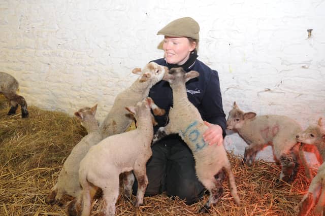 The farm will re-open next month