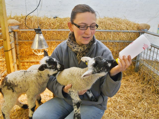 The farm will re-open next month