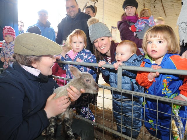 The farm will re-open next month