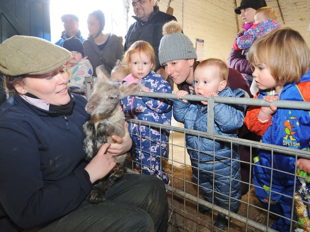 The farm will re-open next month