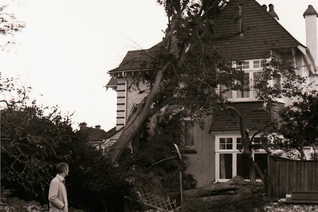 This tree fell right into a house