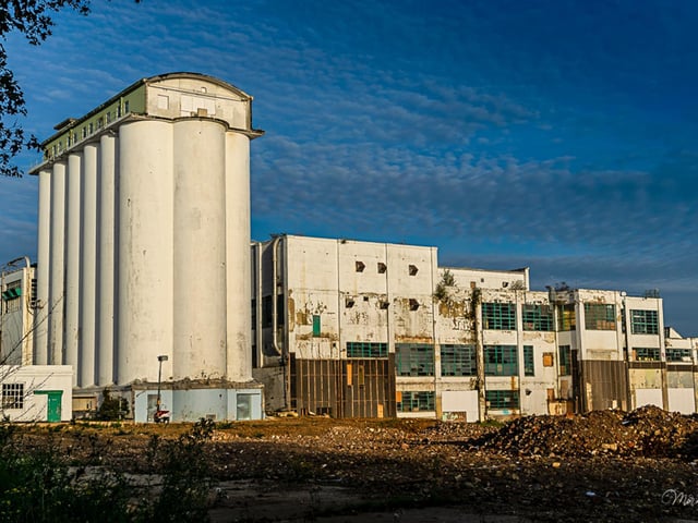 Morna Rees - “Shredded Wheat silos” Former Shredded Wheat Factory, Welwyn Garden City