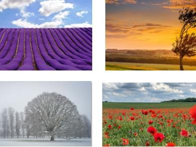 Pictures taken by Mary Patrick, Marcin Adamczewski  and Heidi Hodgson