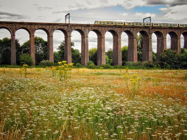 Priti Hathiramani - “meadow by the Viadduct” Digswell Viaduct, Welwyn Garden City