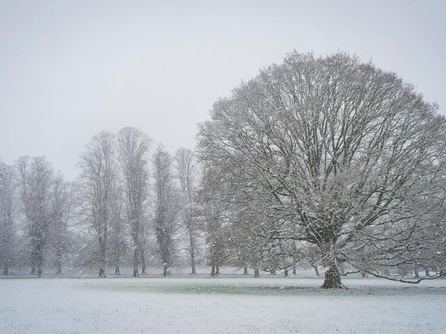 Heidi Hodgson - “Winter Majesty” St Paul’s Waldenbury