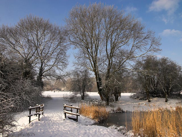 John Mills - “Harpenden Ponds” Harpenden