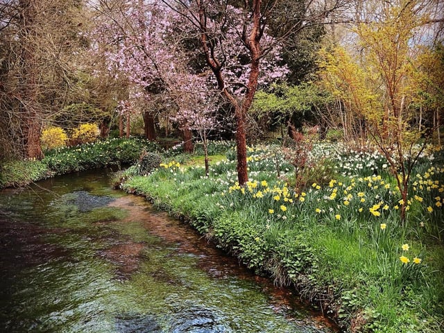 Lisa Dutton - “Tewin in Bloom” Welwyn Garden City