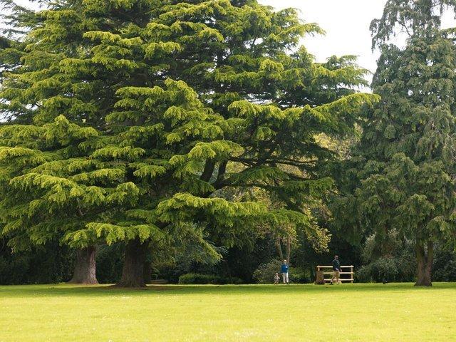 Delapre Abbey