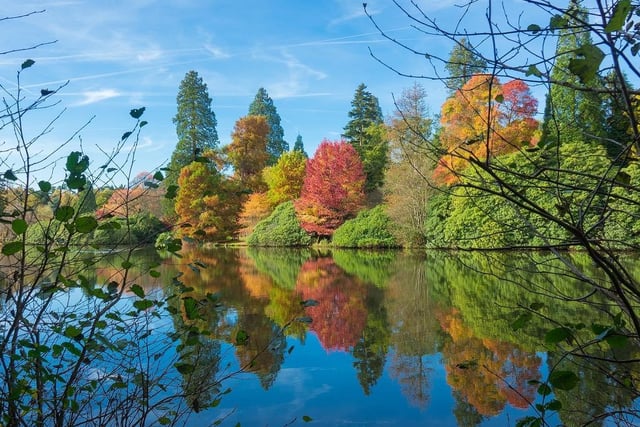 Autumn colours at Sheffield Park. Photo: National Trust/Garry Cosham