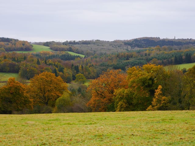 A view of the autumnal countryside surrounding Bateman's. Photo: National Trust/H Broughton