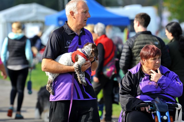 Paws in the park event at South of England showground, Ardingly. Pic S Robards SR2110091 SUS-210910-172635001