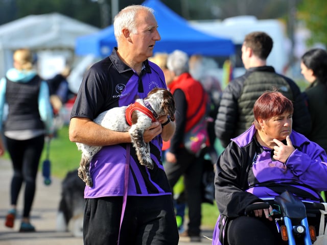 Paws in the park event at South of England showground, Ardingly. Pic S Robards SR2110091 SUS-210910-172635001