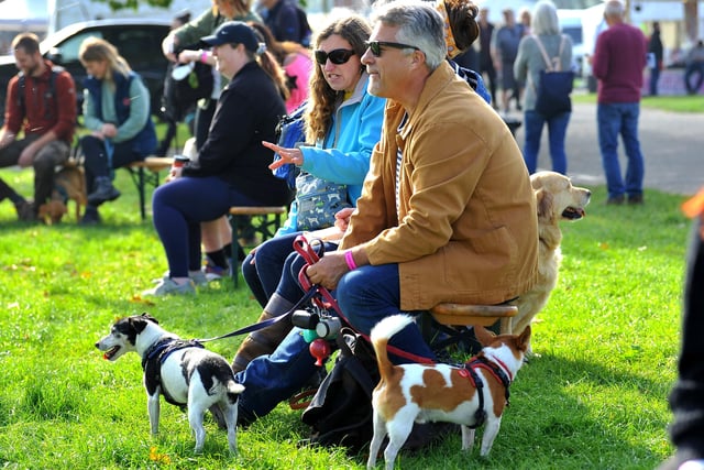 Paws in the park event at South of England showground, Ardingly. Pic S Robards SR2110091 SUS-210910-172809001