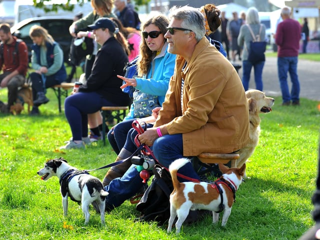 Paws in the park event at South of England showground, Ardingly. Pic S Robards SR2110091 SUS-210910-172809001