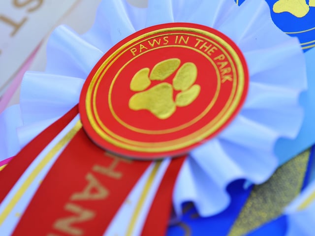 Paws in the park event at South of England showground, Ardingly. Pic S Robards SR2110091 SUS-210910-172708001